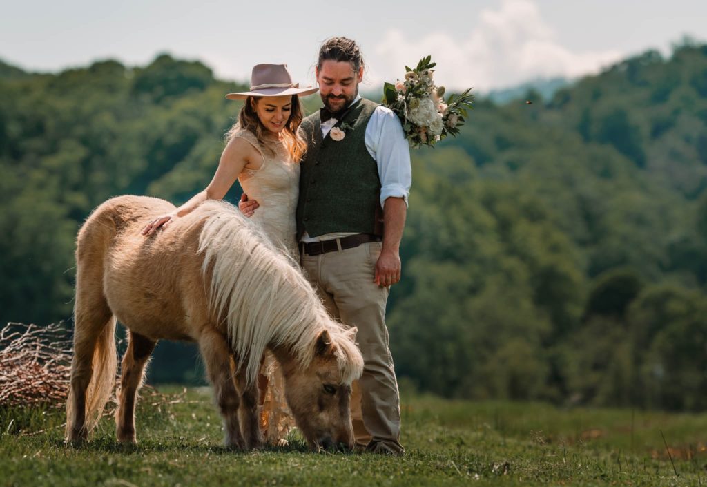 eloping with a pony at lady luck gardens