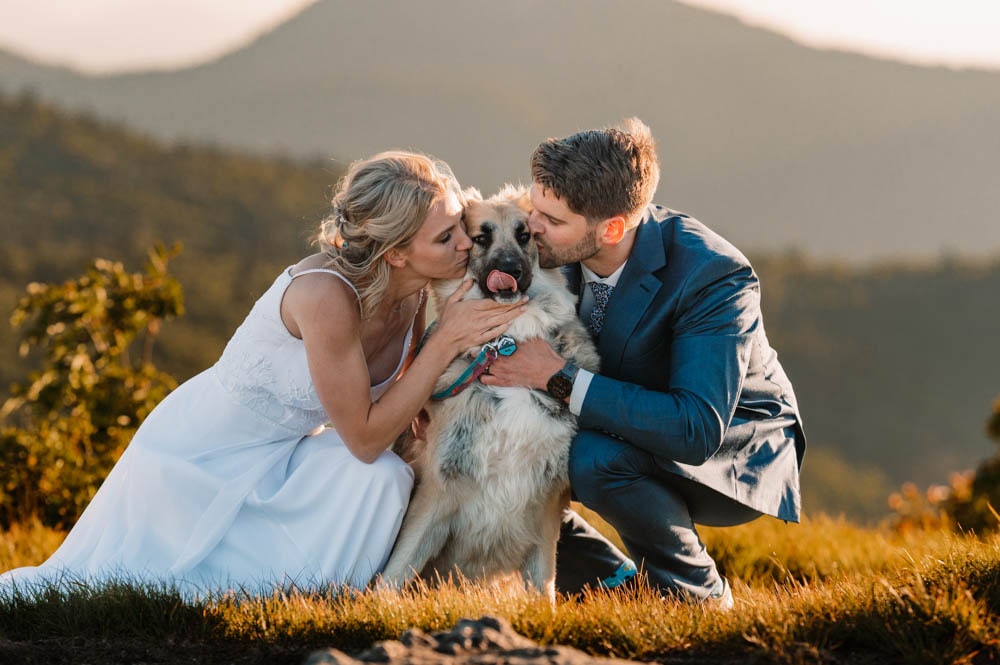 elopement in a national park with a dog